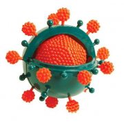 Биологическая модель Вирус Professor Ein-O COG E2371VS