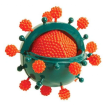 Биологическая модель Вирус Professor Ein-O COG E2371VS